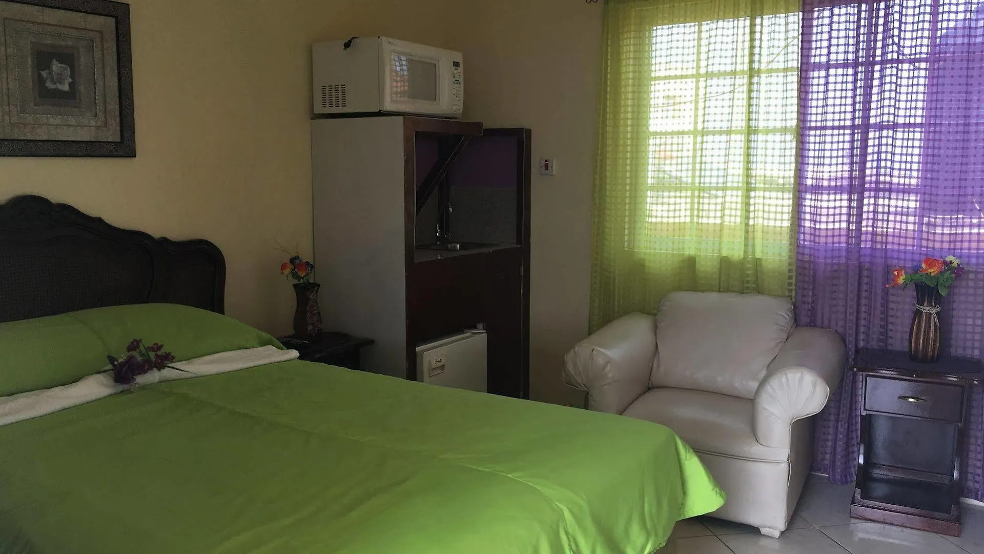 Villa Casa De Fe Montego Bay Konukevi